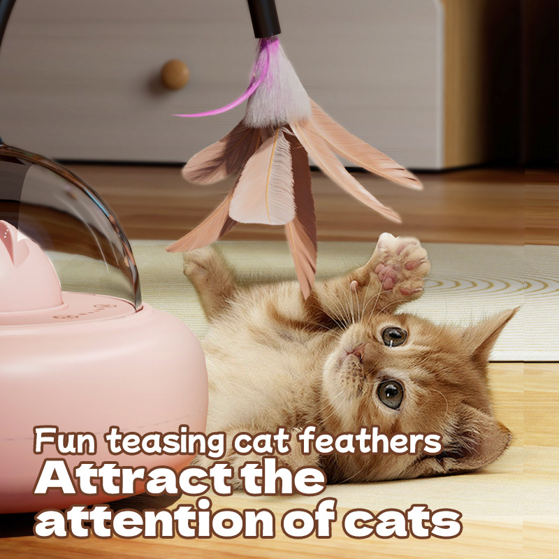 Electric UFO Smart Teaser Cat  - Model Kit Ufo recension och pris
