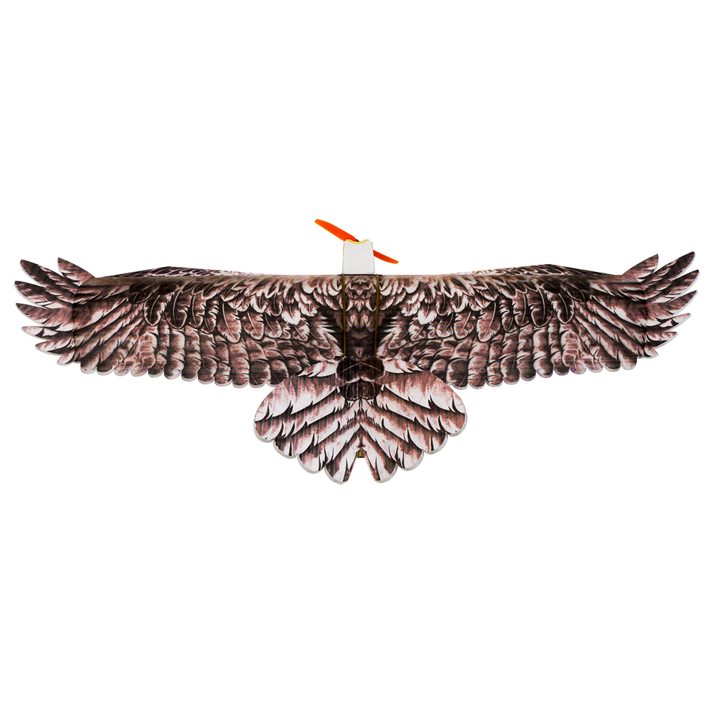 DW Hobby Eagle II EPP Airplane - Model Kit Expert recension och pris